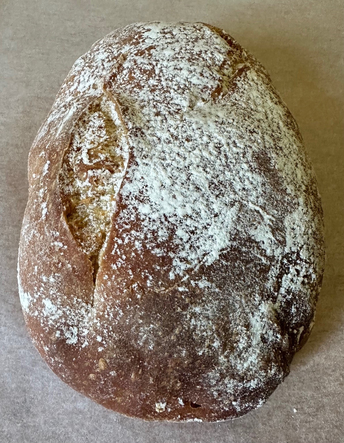 PLAIN SOURDOUGH